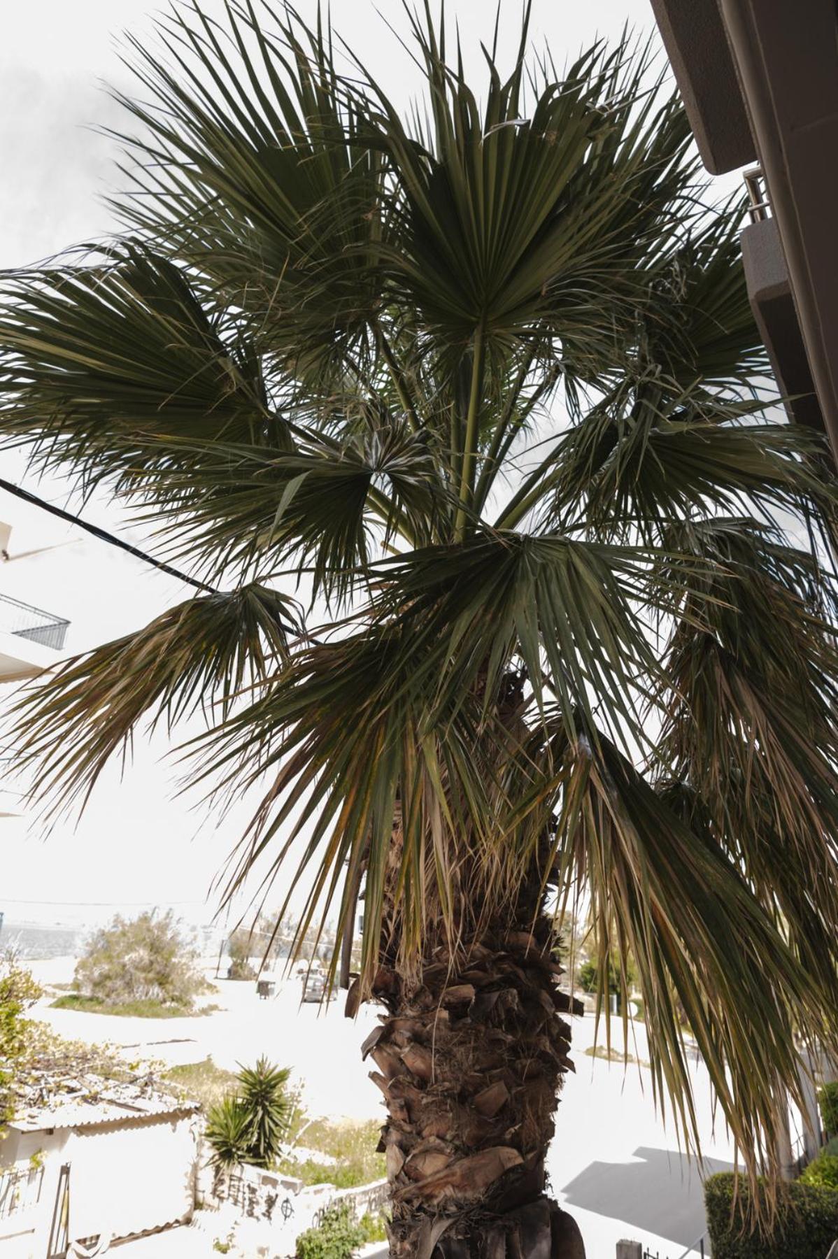 Sea View Apartment Chalkís المظهر الخارجي الصورة